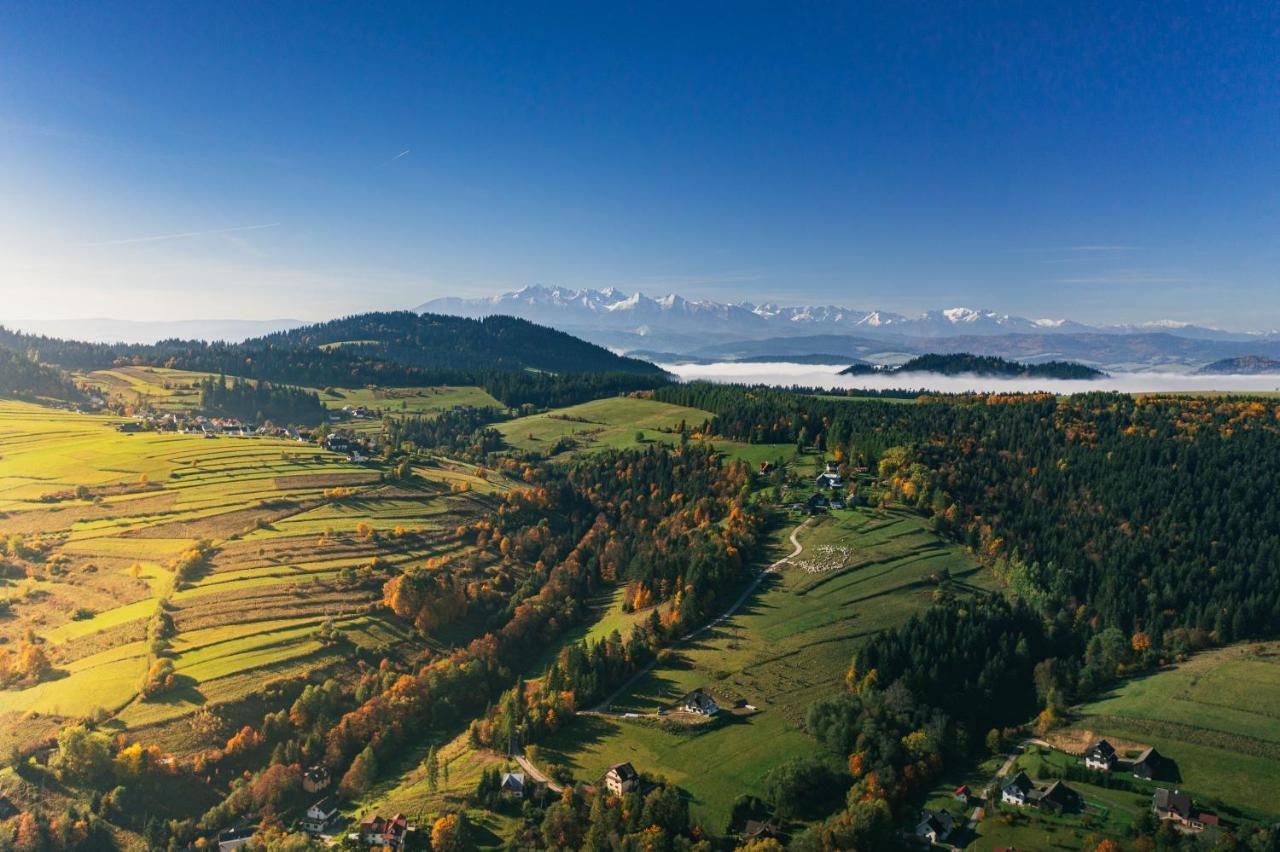 Sloneczny Grywald