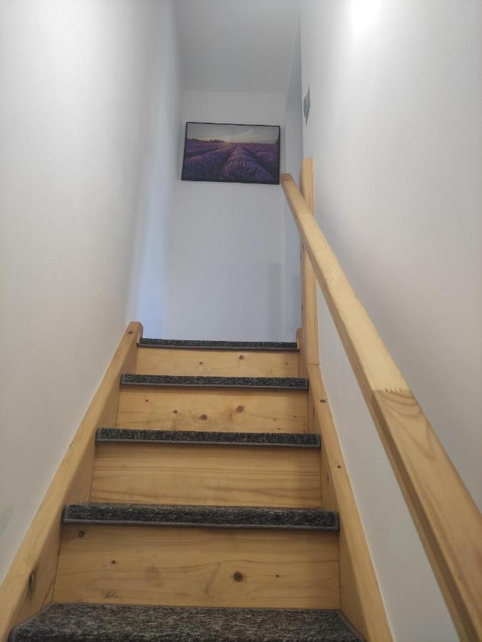 Sloneczny Ferienhaus *